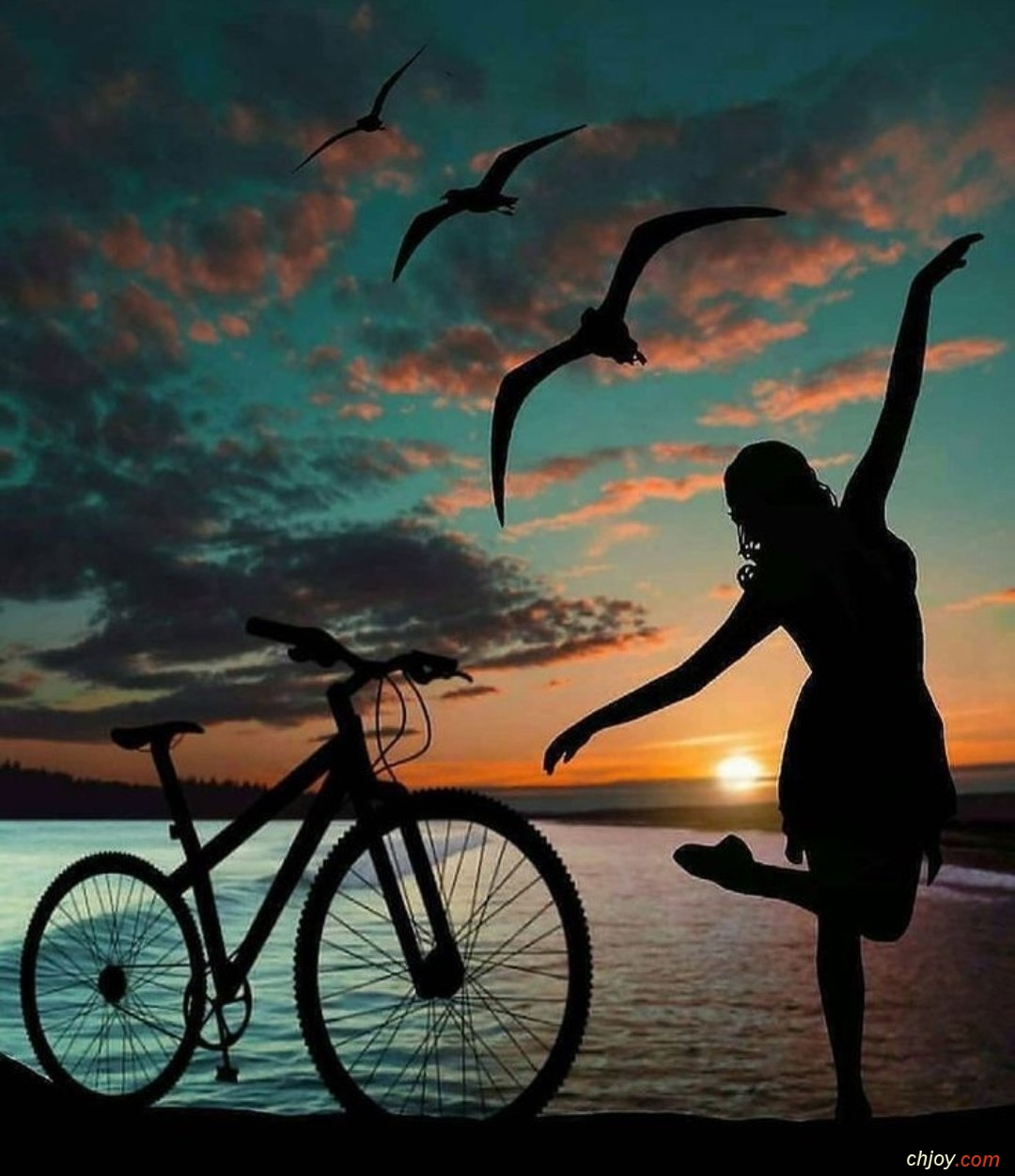 La vie est comme une bicyclette 