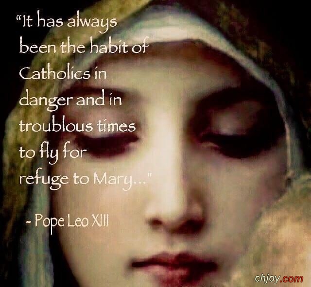 Blessed Mother is the refuge for sinners. 