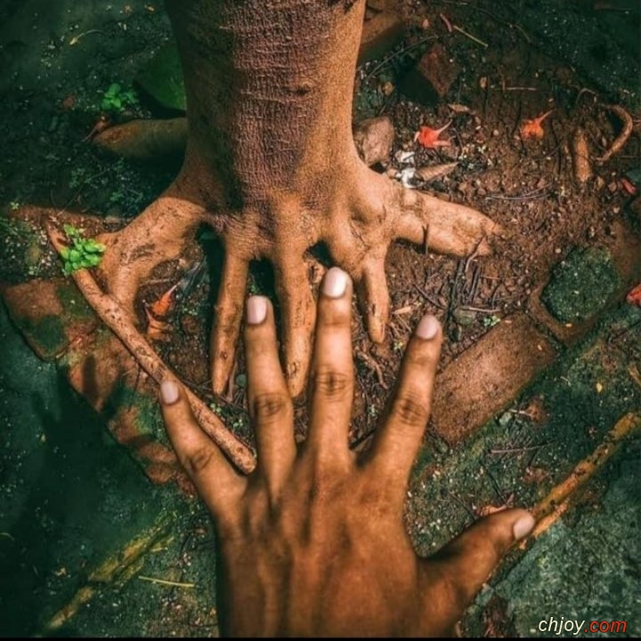 le langage de la Nature 