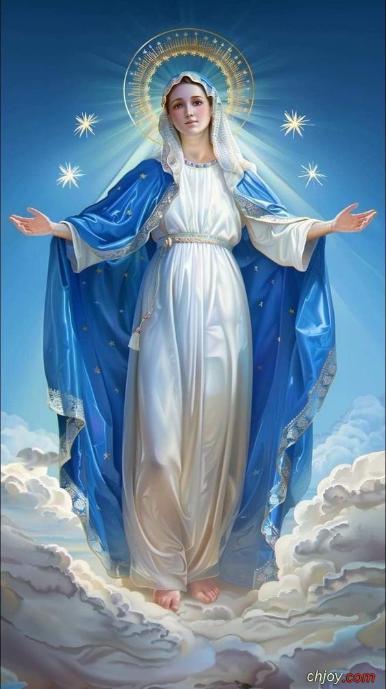 Oh Zodiac Ave MARY🌺VIRGINIA🎑🔔OUR LADY🌷 