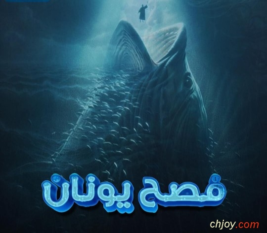 🐋   ڤ   
