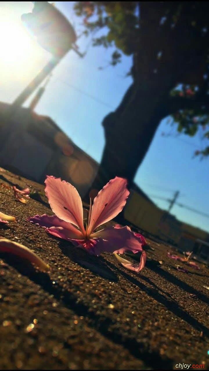  "🤗 