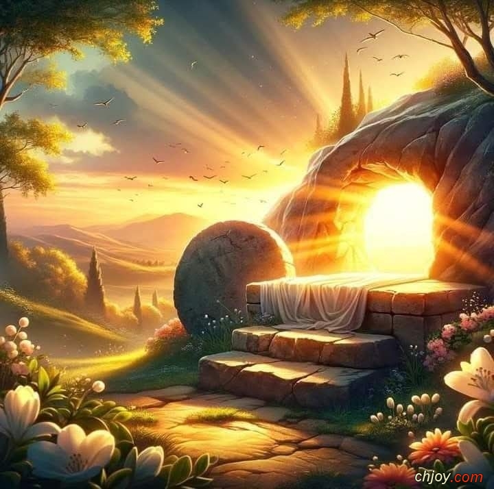     : 20 / 5 / 2025 / 