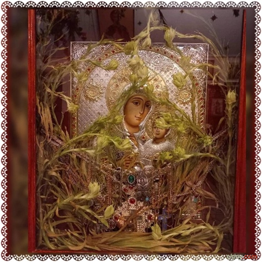        |  Habat Hinta 