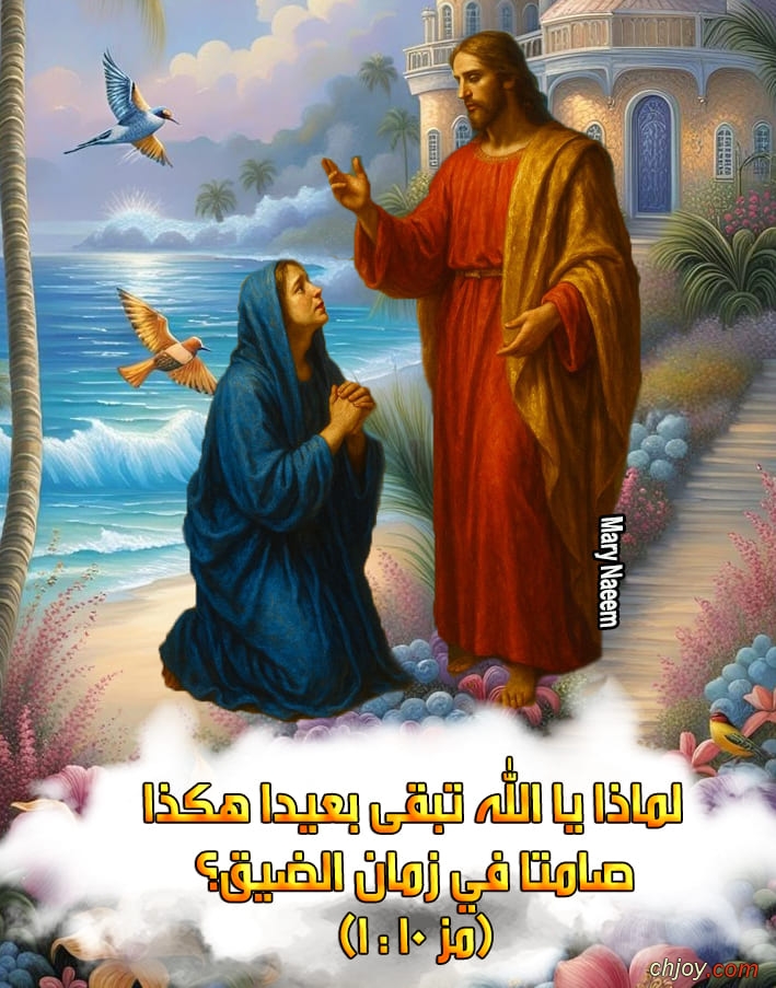    ( 10 : 1) 