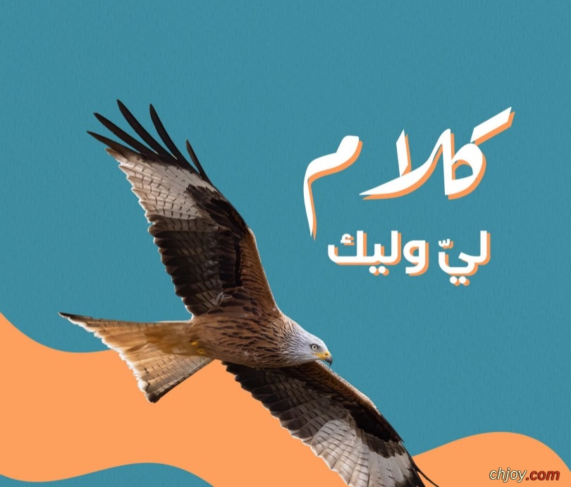   🦅 