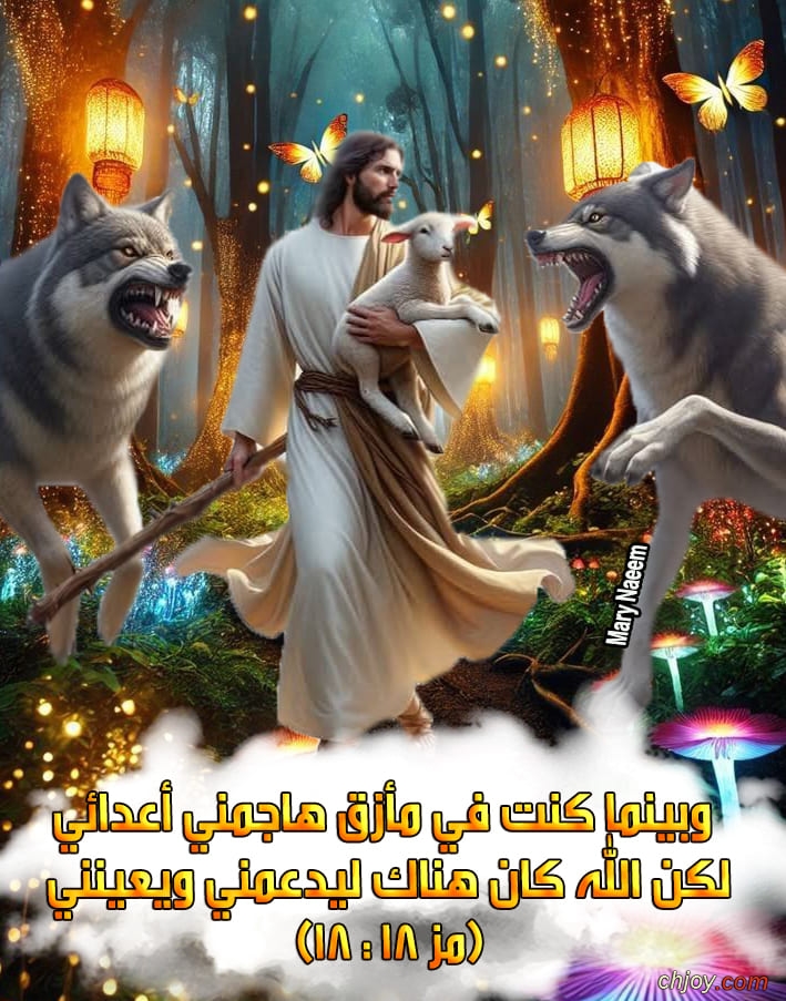      ( 18 : 18) 