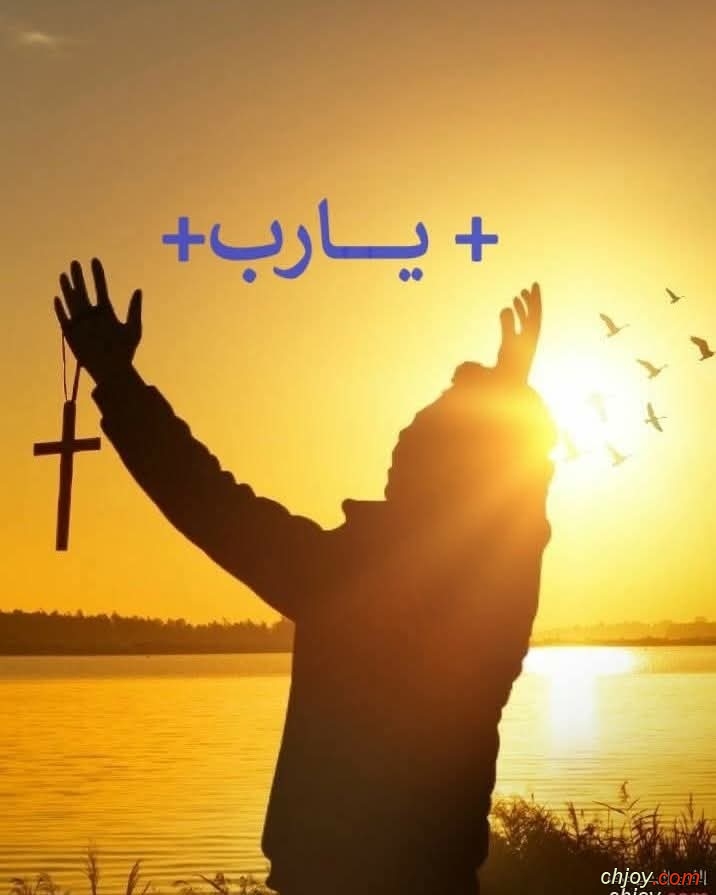     : 24 / 7 / 2025 / 