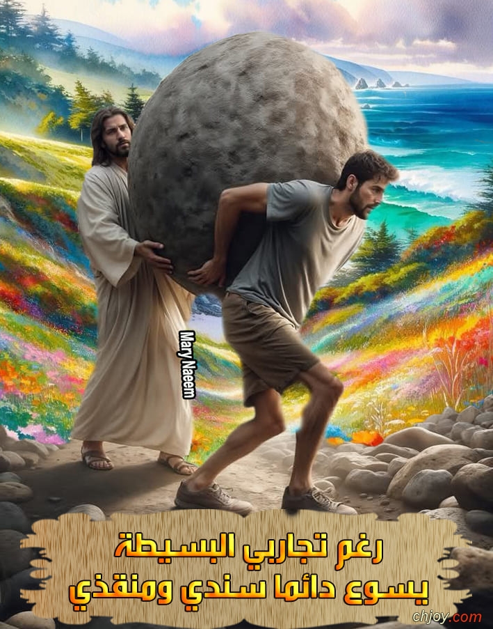      31 / 7 / 2025 