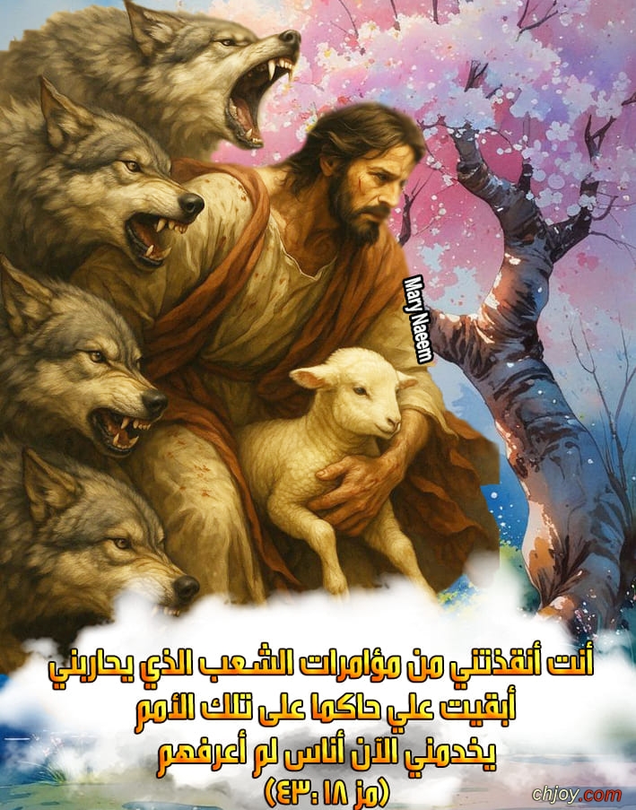            ( 18 : 43) 
