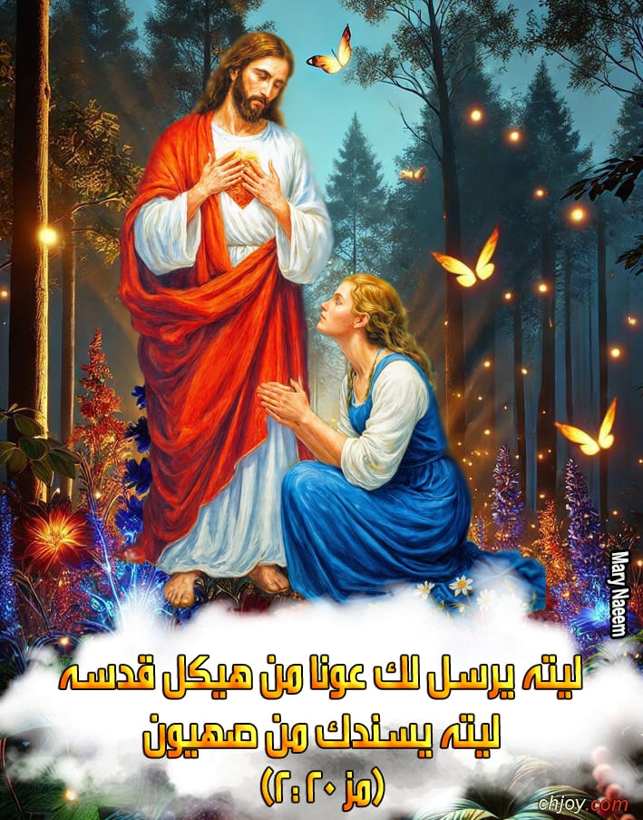 ( 20 : 2)        