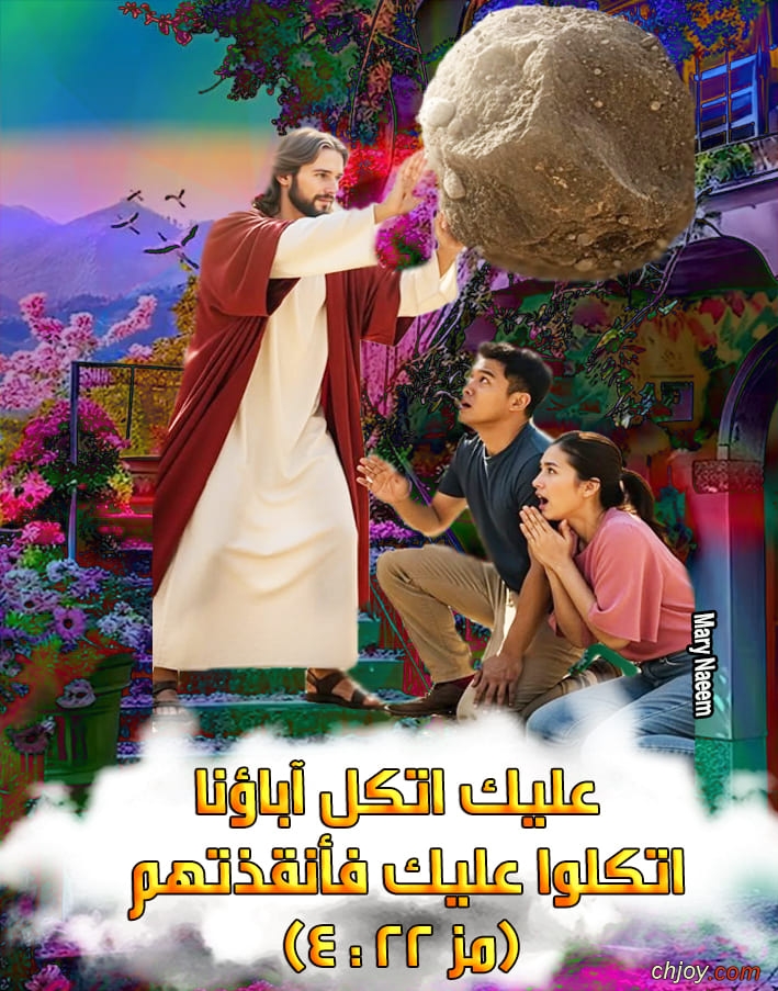     22 / 8 / 2025 