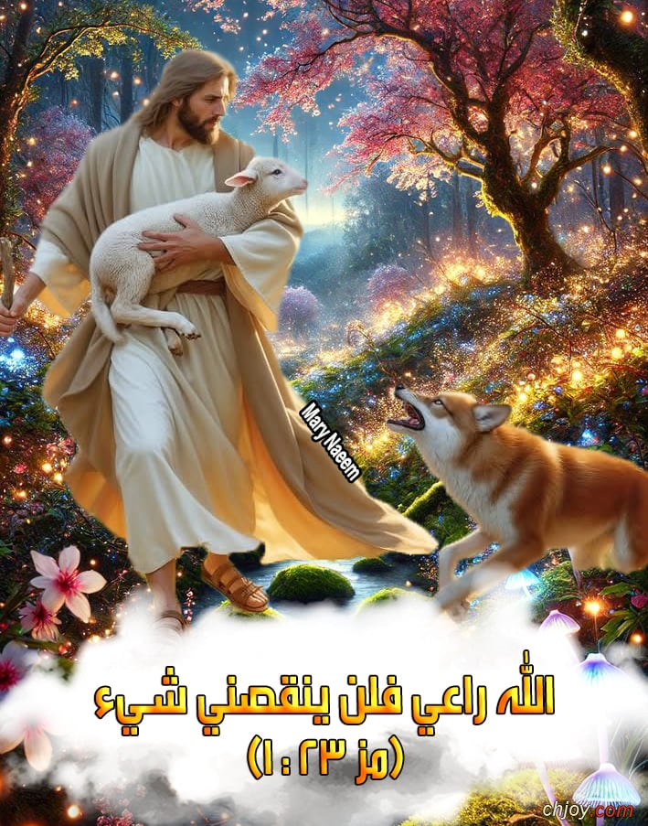    ( 23 : 1) 