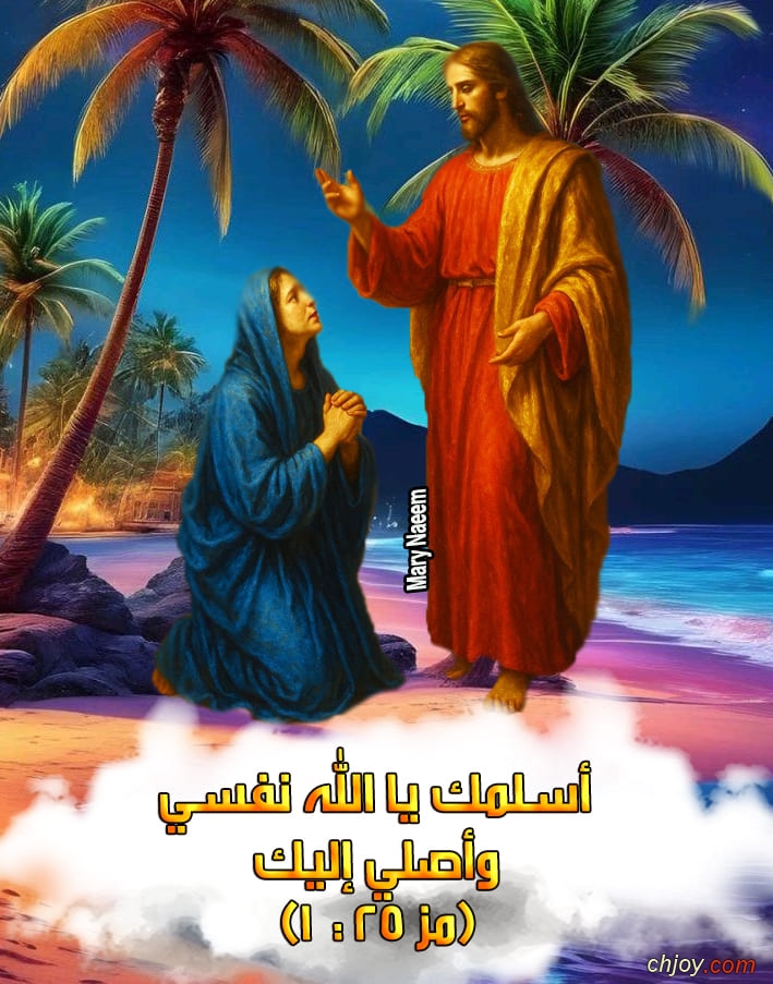       ( 25 : 1) 