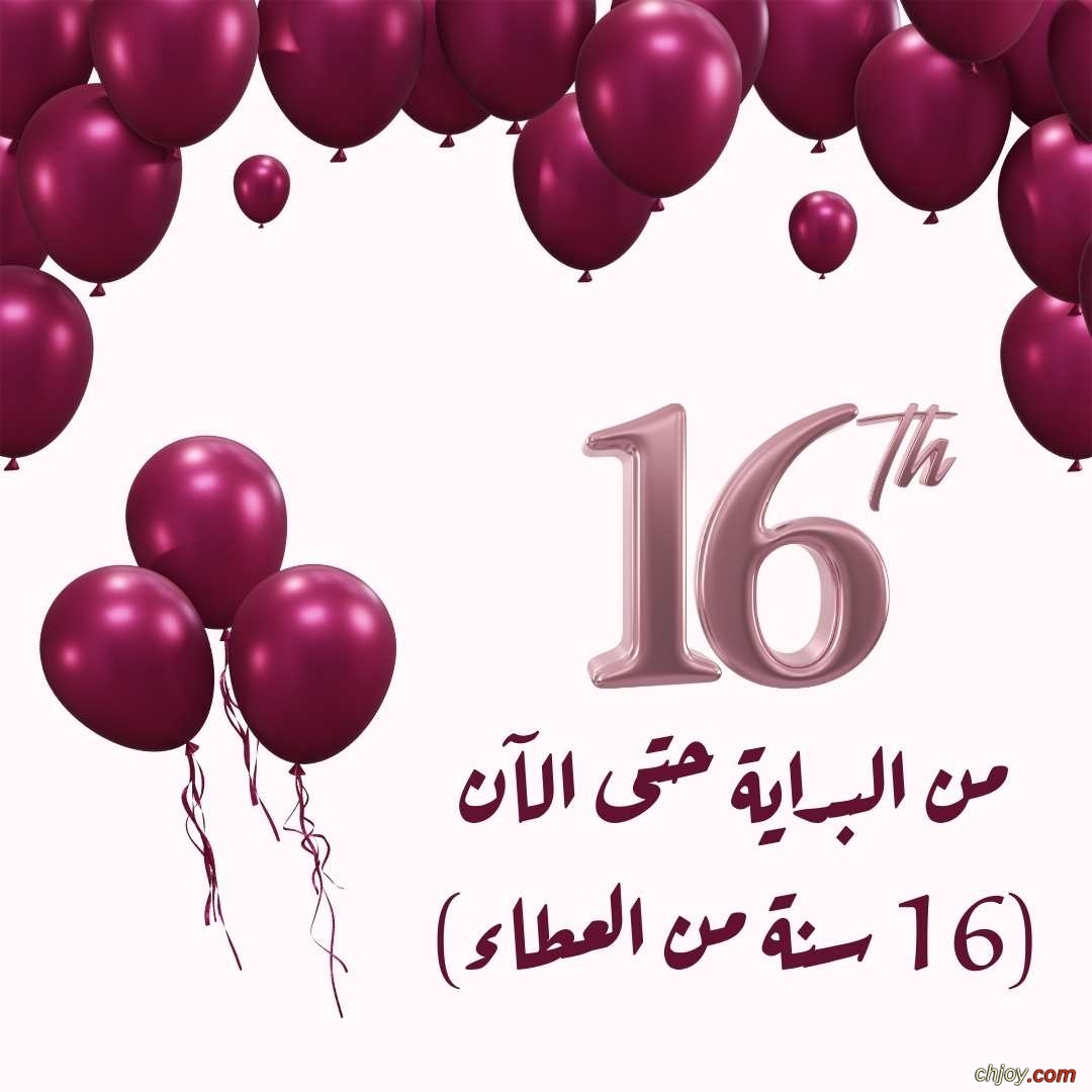     -     (16   ) 