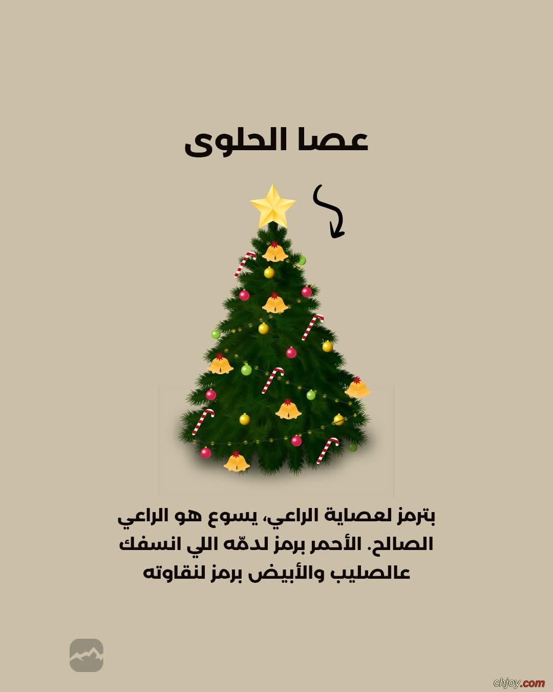 ��� ������ ���� ������� ����� ����� �����ʿ 🎄 