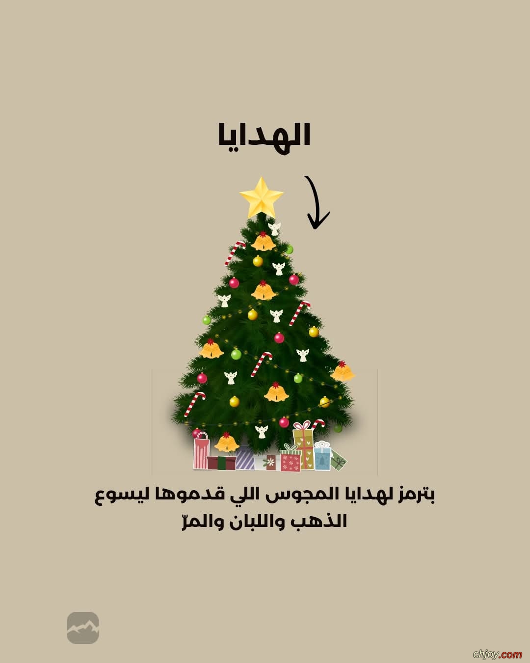 ��� ������ ���� ������� ����� ����� �����ʿ 🎄 